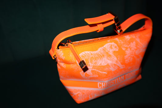 Christain Dior Travel Nomad Pouch Small Leather Fabric Orange