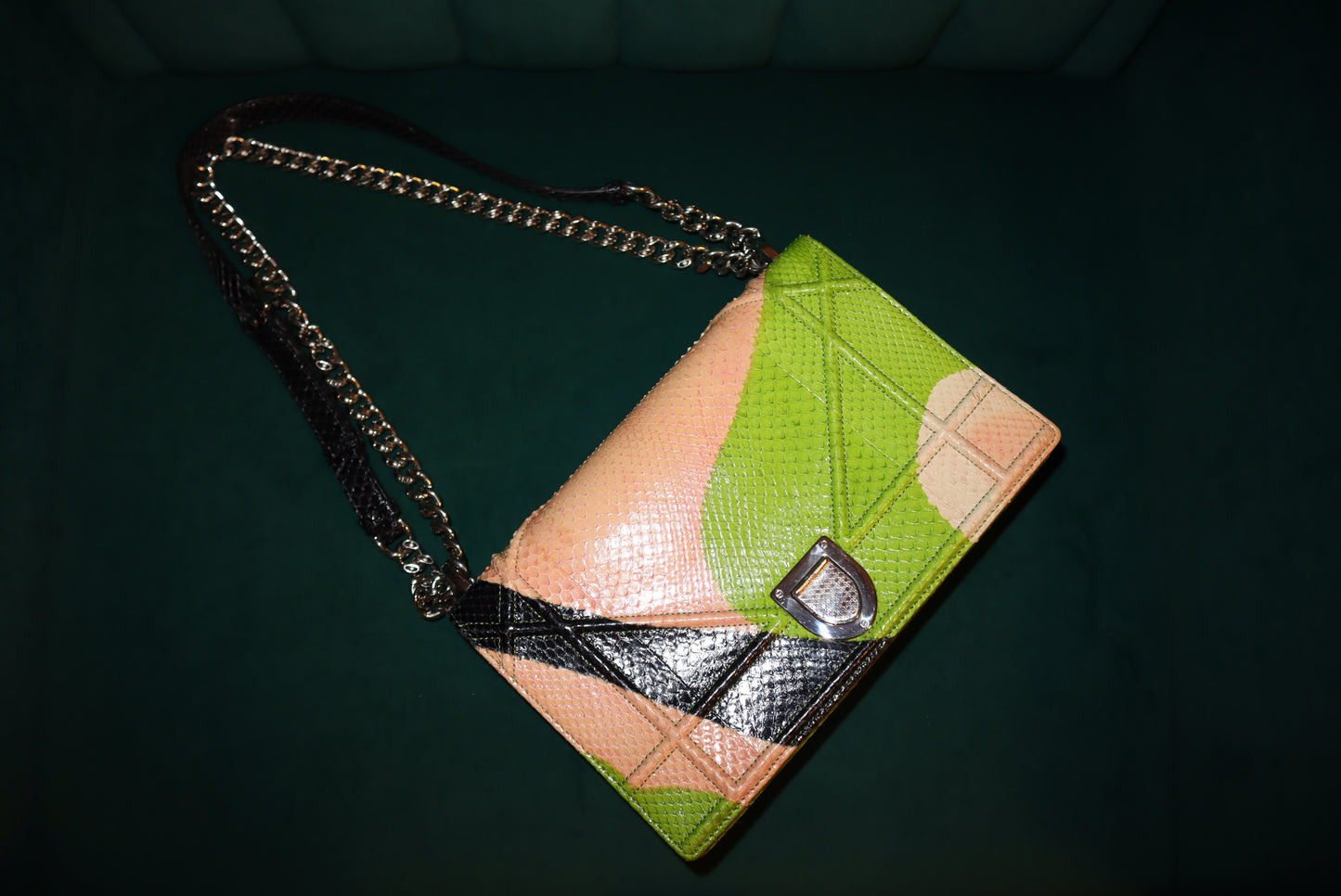 Christian Dior Python