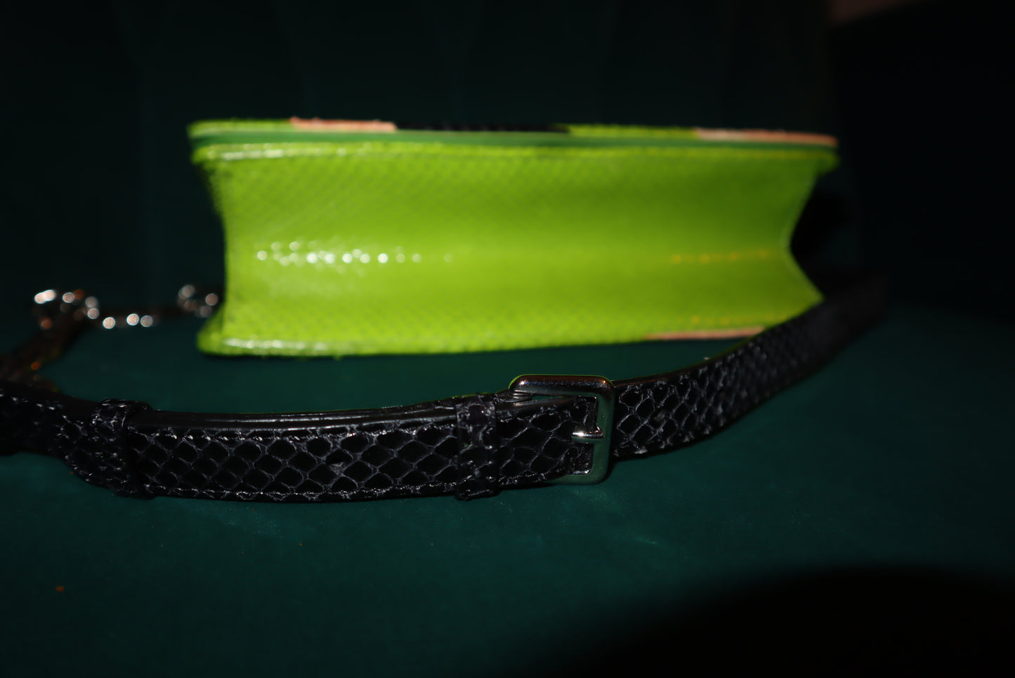 Christian Dior Python