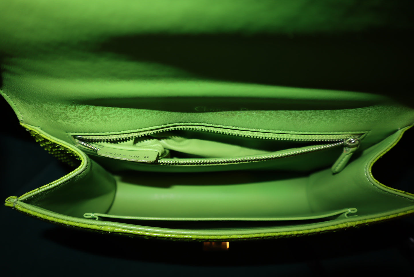 Christian Dior Python