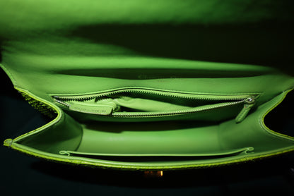 Christian Dior Python