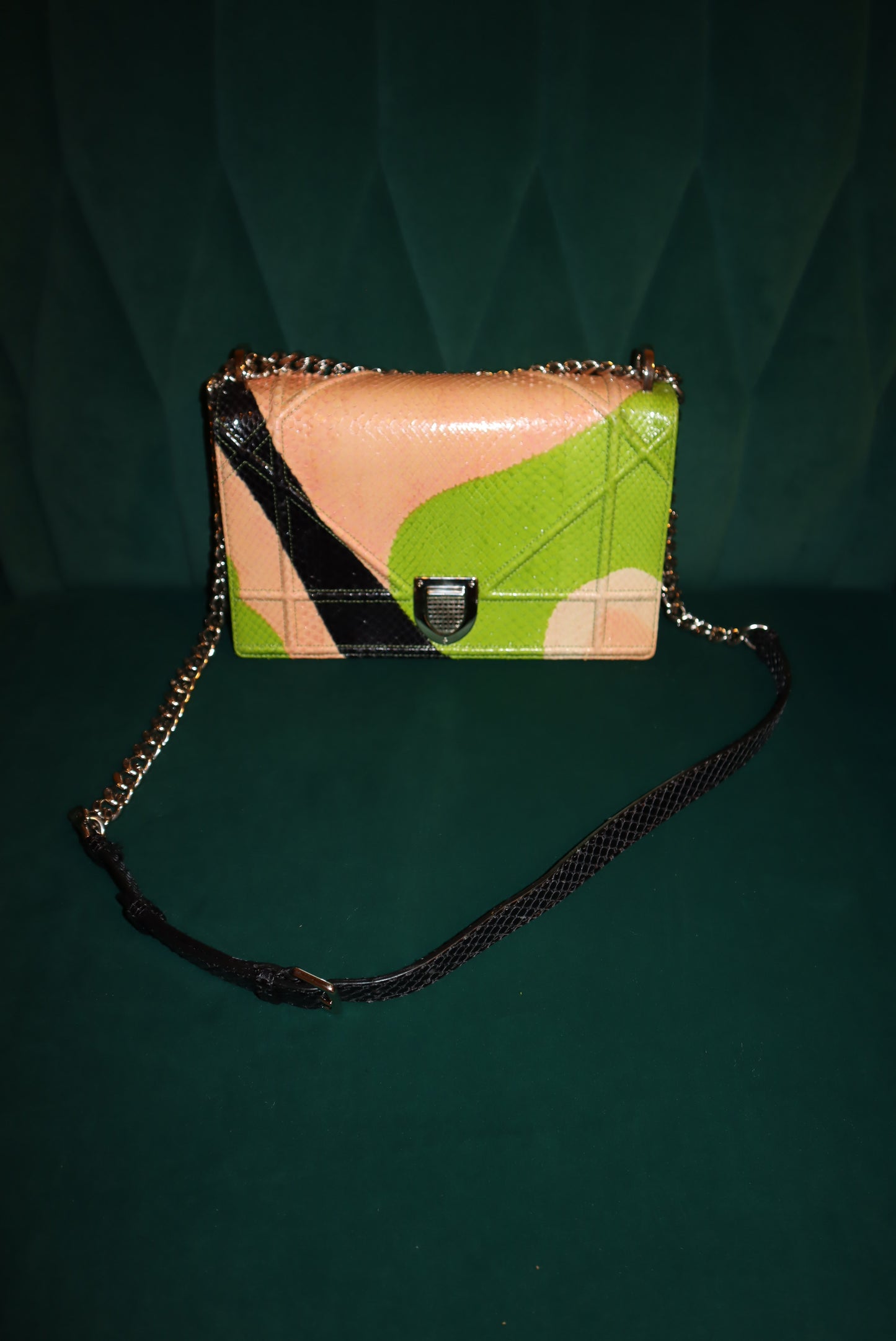 Christian Dior Python