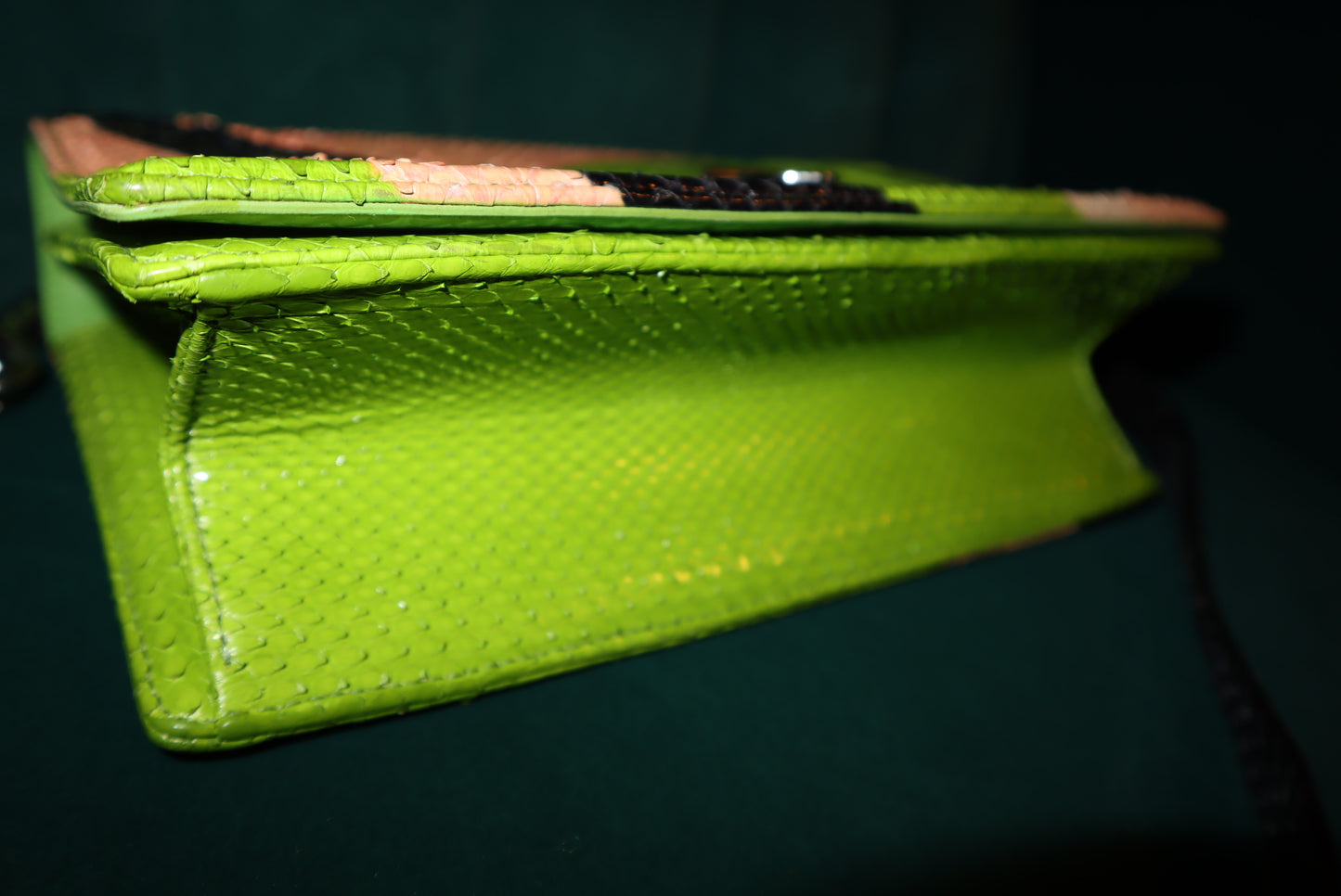 Christian Dior Python