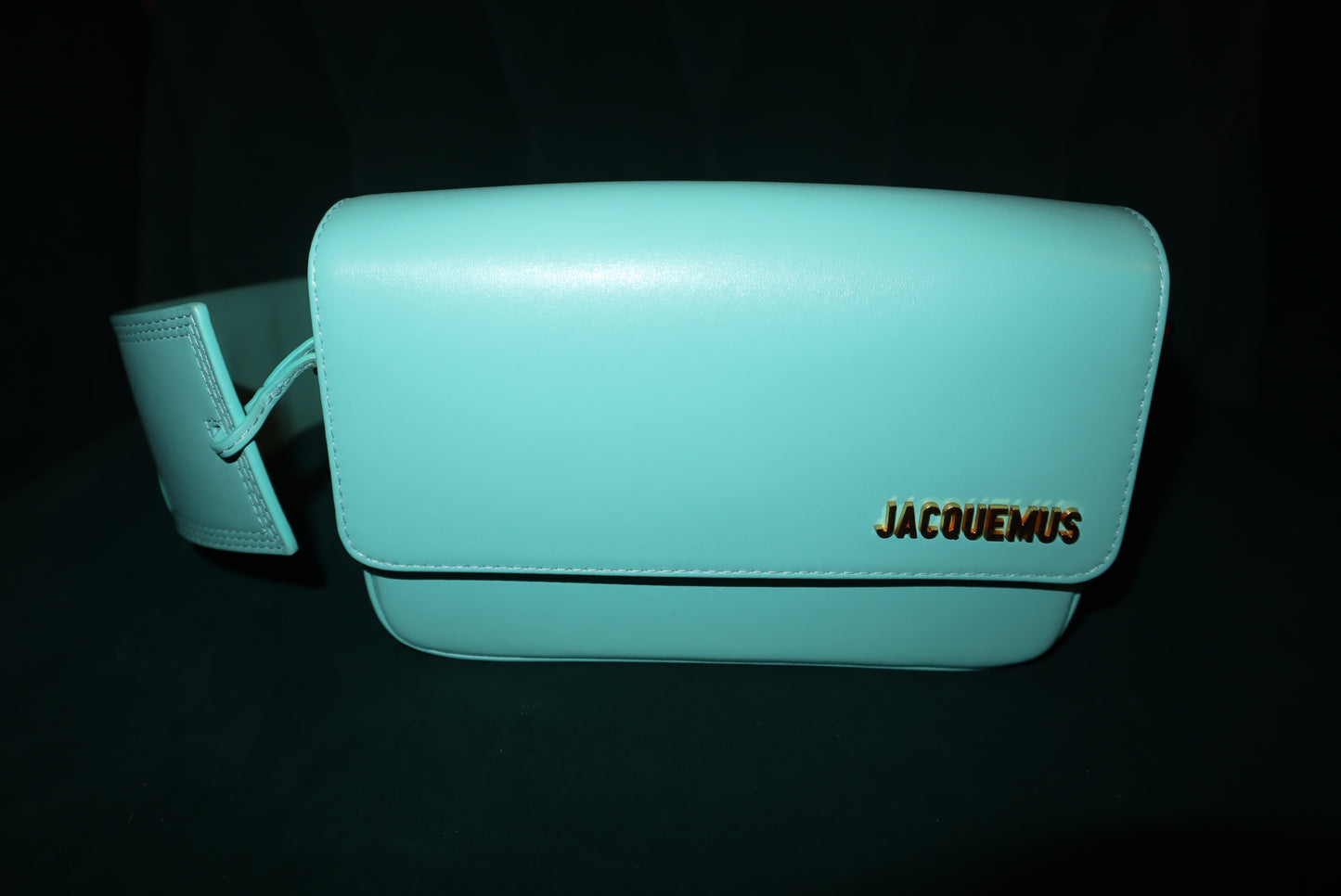 JACQUEMUS  Smooth Calfskin Le Carinu Turquoise