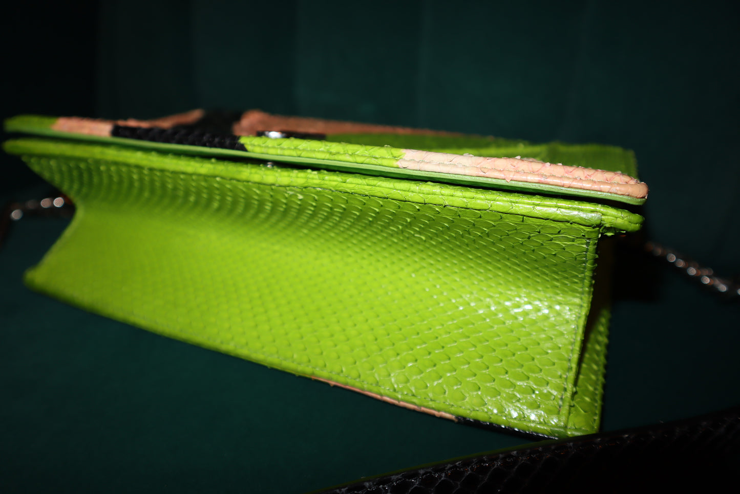 Christian Dior Python