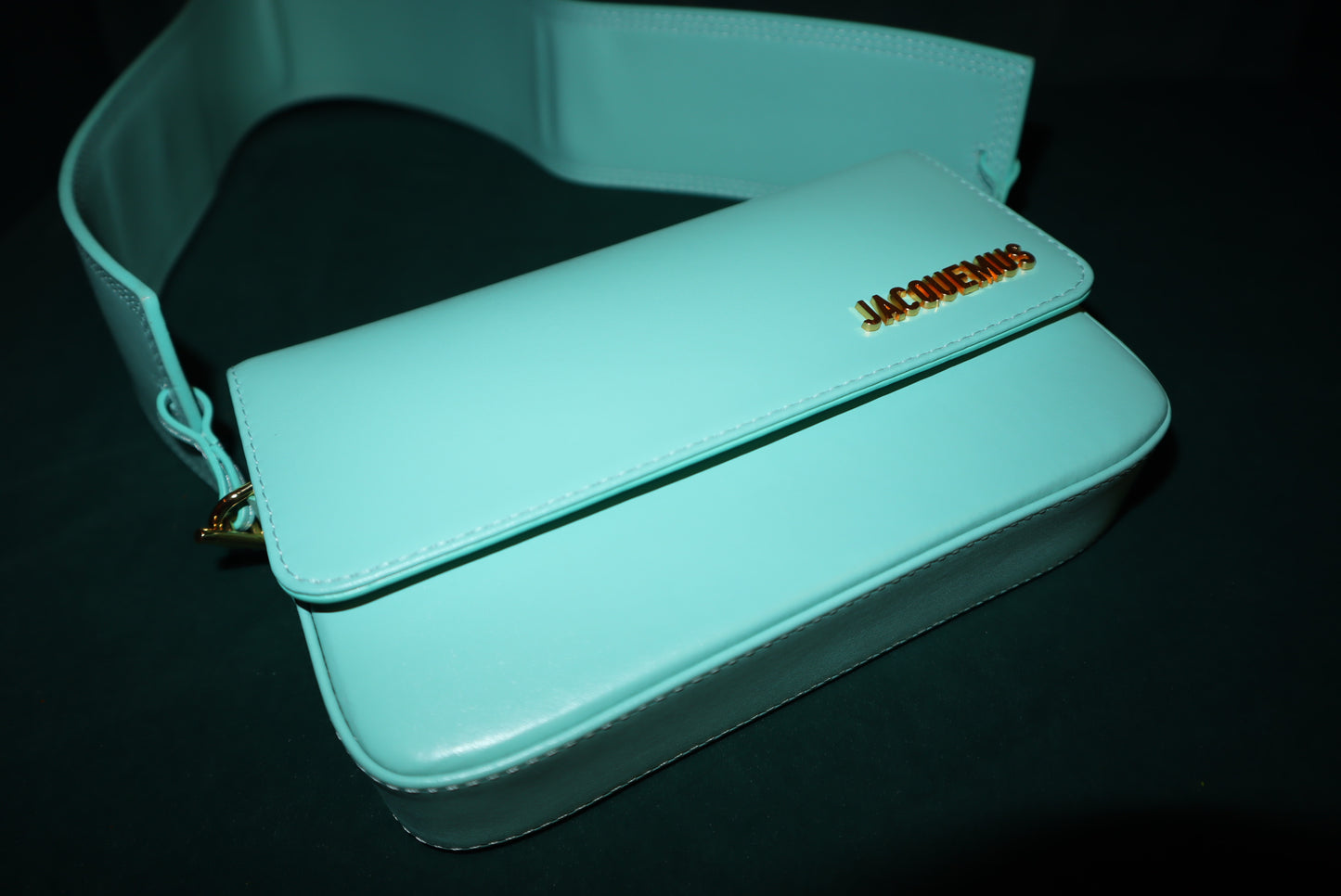 JACQUEMUS  Smooth Calfskin Le Carinu Turquoise