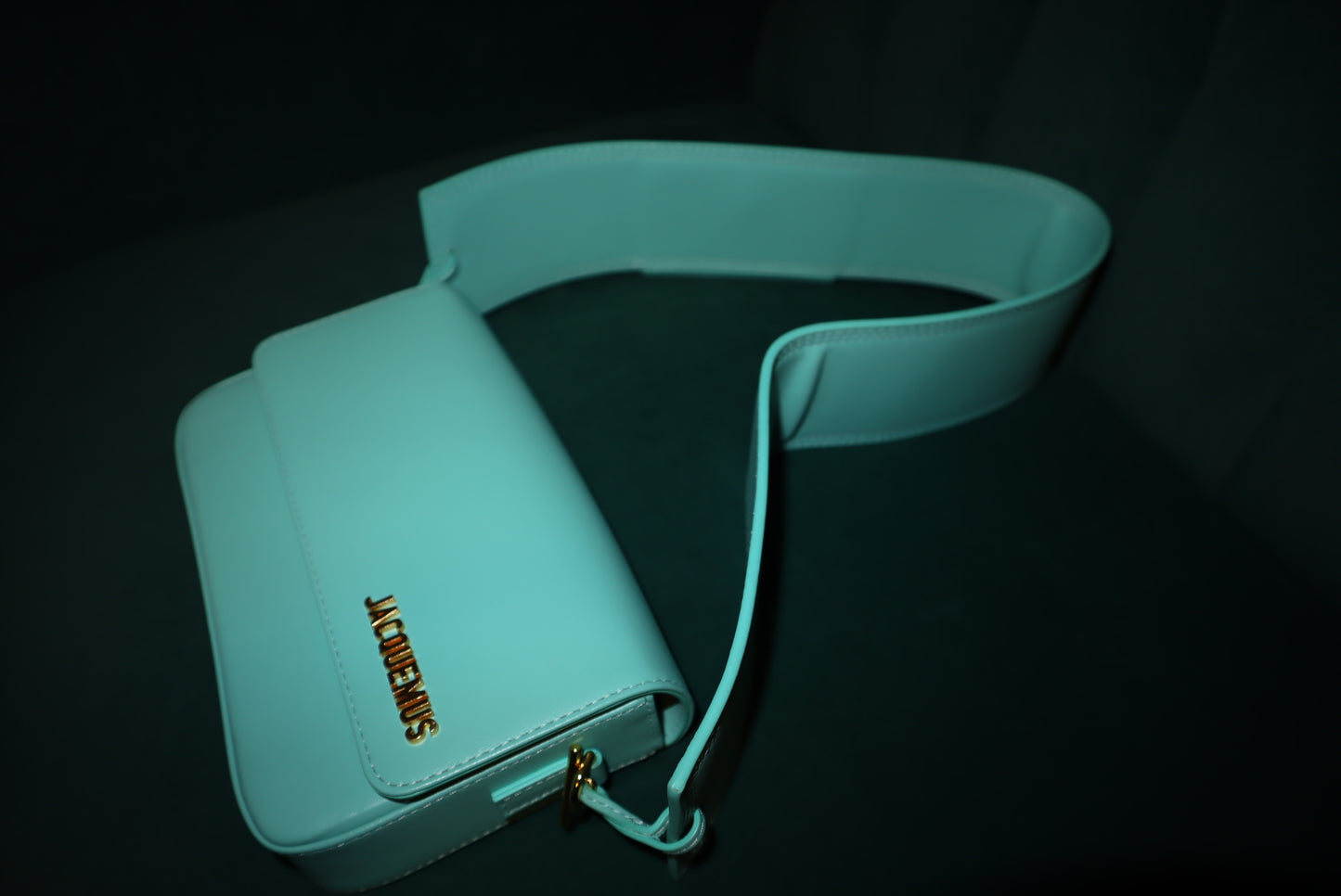 JACQUEMUS  Smooth Calfskin Le Carinu Turquoise