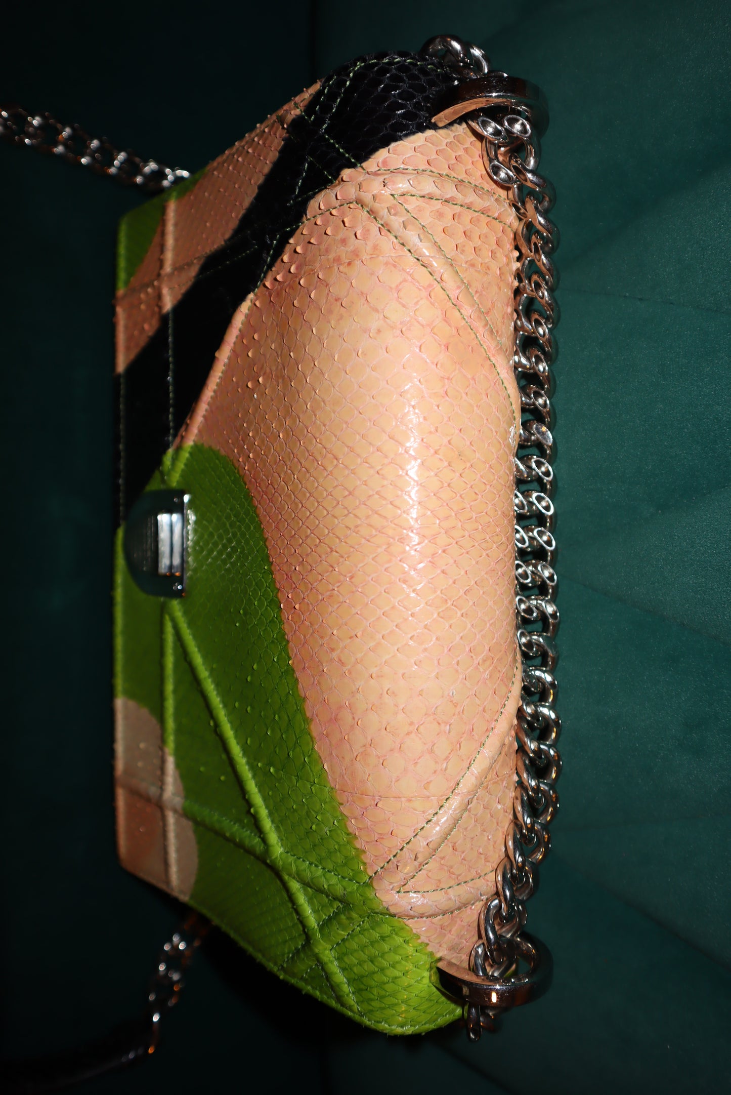 Christian Dior Python