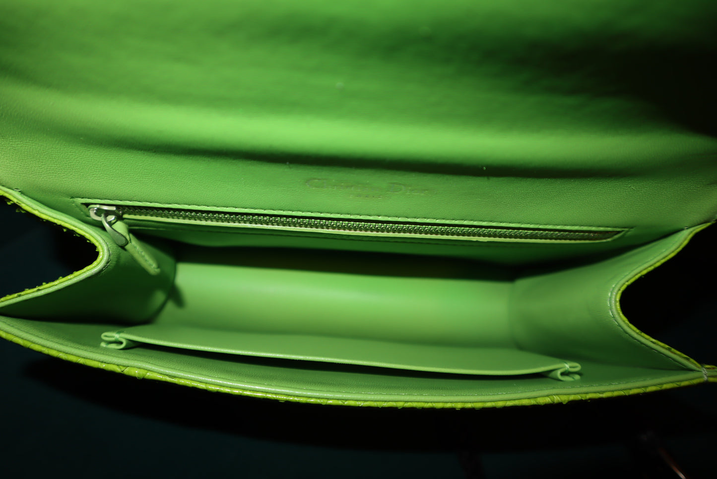 Christian Dior Python