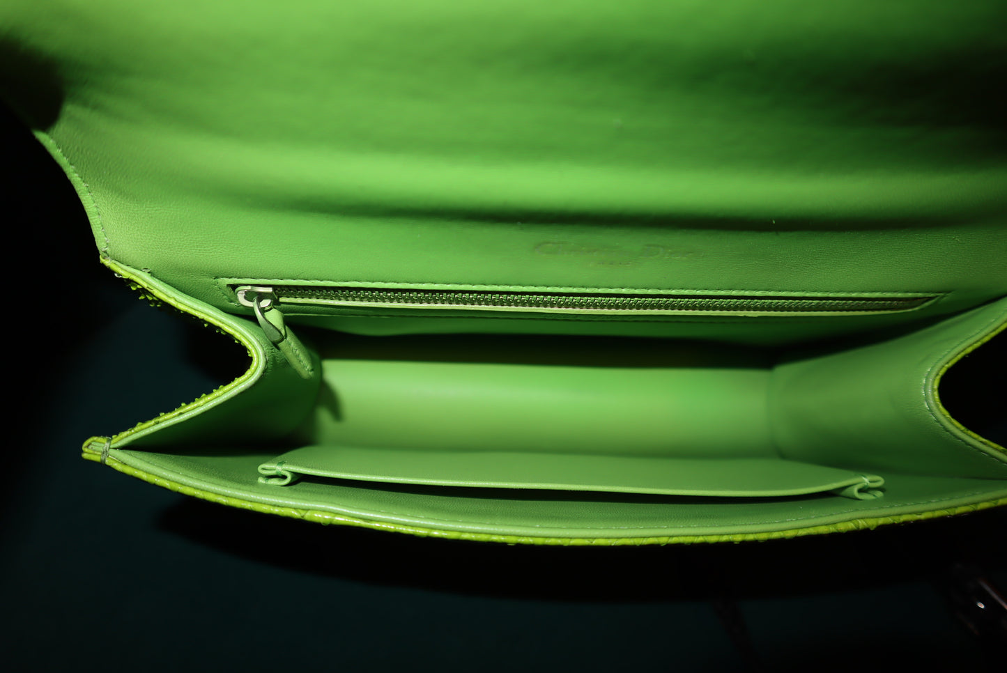 Christian Dior Python