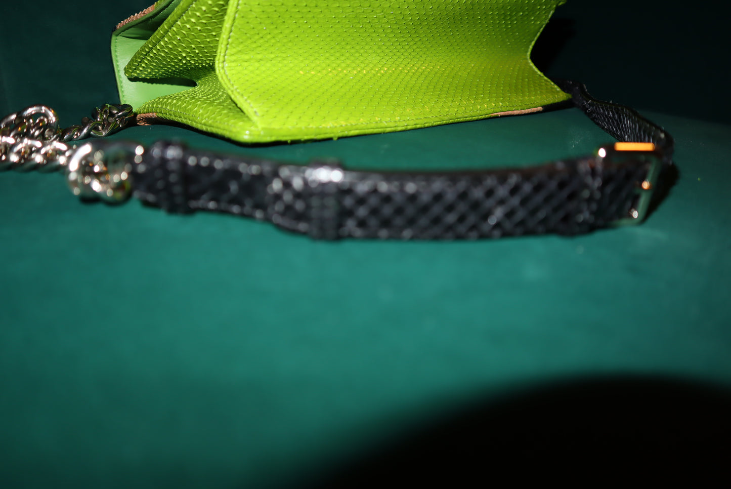 Christian Dior Python