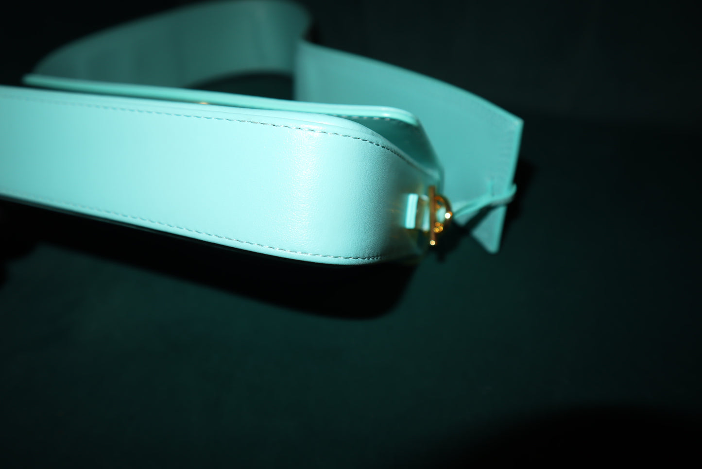 JACQUEMUS  Smooth Calfskin Le Carinu Turquoise