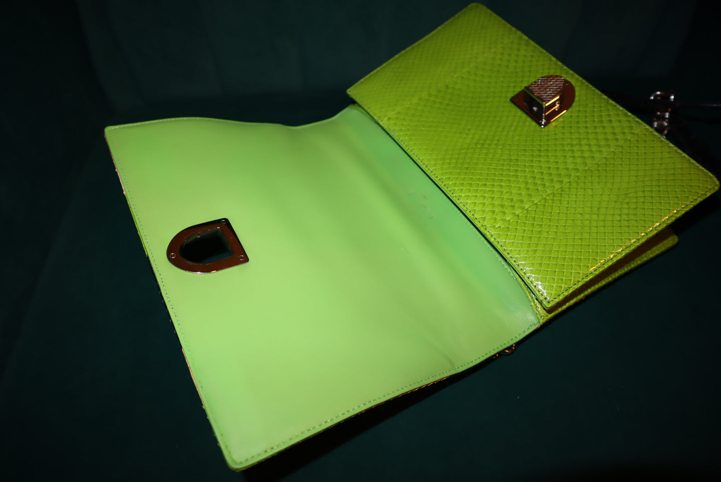 Christian Dior Python